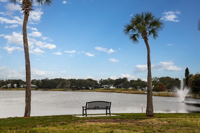 Gum Lake Preserve