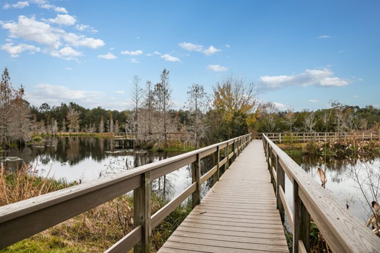 Gum Lake Preserve